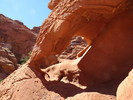 photo thumbnail #6