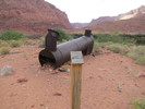 photo thumbnail #12