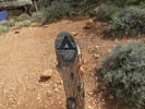 photo thumbnail #12