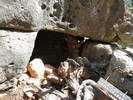 photo thumbnail #4