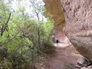 photo thumbnail #8