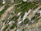photo thumbnail #14