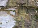 photo thumbnail #15