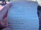 photo thumbnail #7