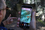 photo thumbnail #2