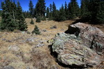 photo thumbnail #11