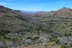 photo thumbnail #9