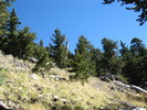 photo thumbnail #3