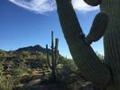 2014-10-04 :1: Coyote Canyon Loop MSP :: Crzy4AZ