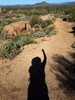 photo thumbnail #2