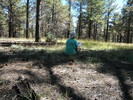 photo thumbnail #1