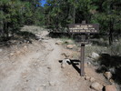 photo thumbnail #6