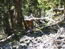 photo thumbnail #11