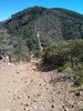 photo thumbnail #9