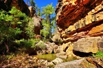 photo thumbnail #4