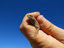 photo thumbnail #1