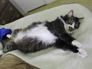photo thumbnail #3