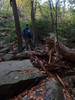 photo thumbnail #8