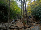 photo thumbnail #11
