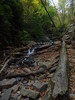 photo thumbnail #12