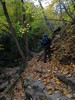 photo thumbnail #15