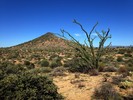 photo thumbnail #5