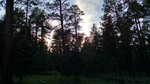 photo thumbnail #14