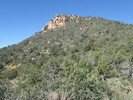 photo thumbnail #3