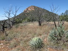 photo thumbnail #6