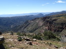 photo thumbnail #7