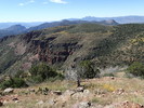photo thumbnail #8