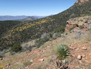 photo thumbnail #9