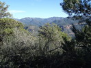 photo thumbnail #9