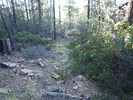photo thumbnail #13