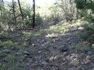 photo thumbnail #14