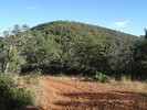 photo thumbnail #15