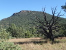 photo thumbnail #11