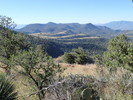 photo thumbnail #14