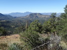 photo thumbnail #15