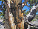 photo thumbnail #5