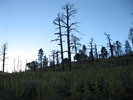 photo thumbnail #11