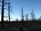photo thumbnail #12