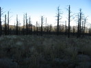 photo thumbnail #13
