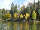 photo thumbnail #7