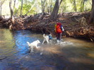 photo thumbnail #10