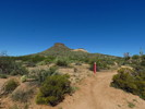 photo thumbnail #2