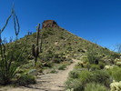 photo thumbnail #7