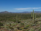 photo thumbnail #11