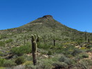photo thumbnail #13