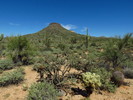 photo thumbnail #15